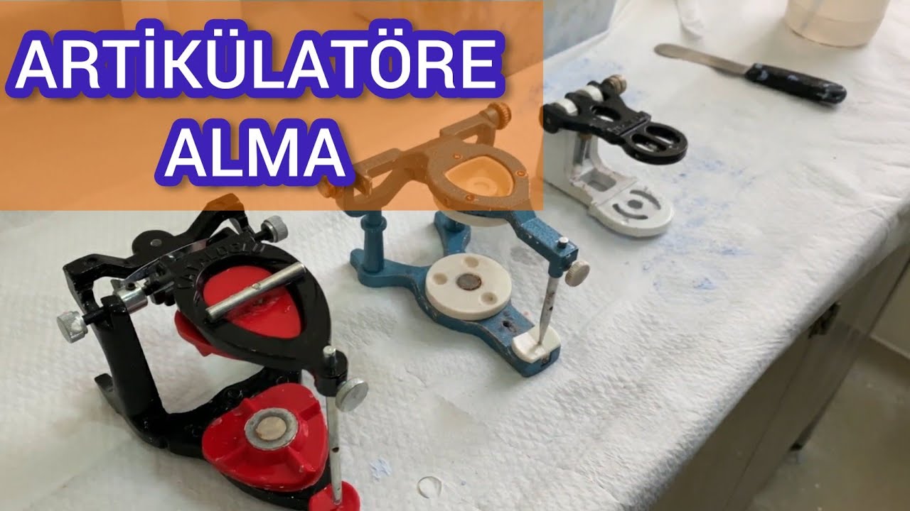Model artikülatöre nasıl alınır