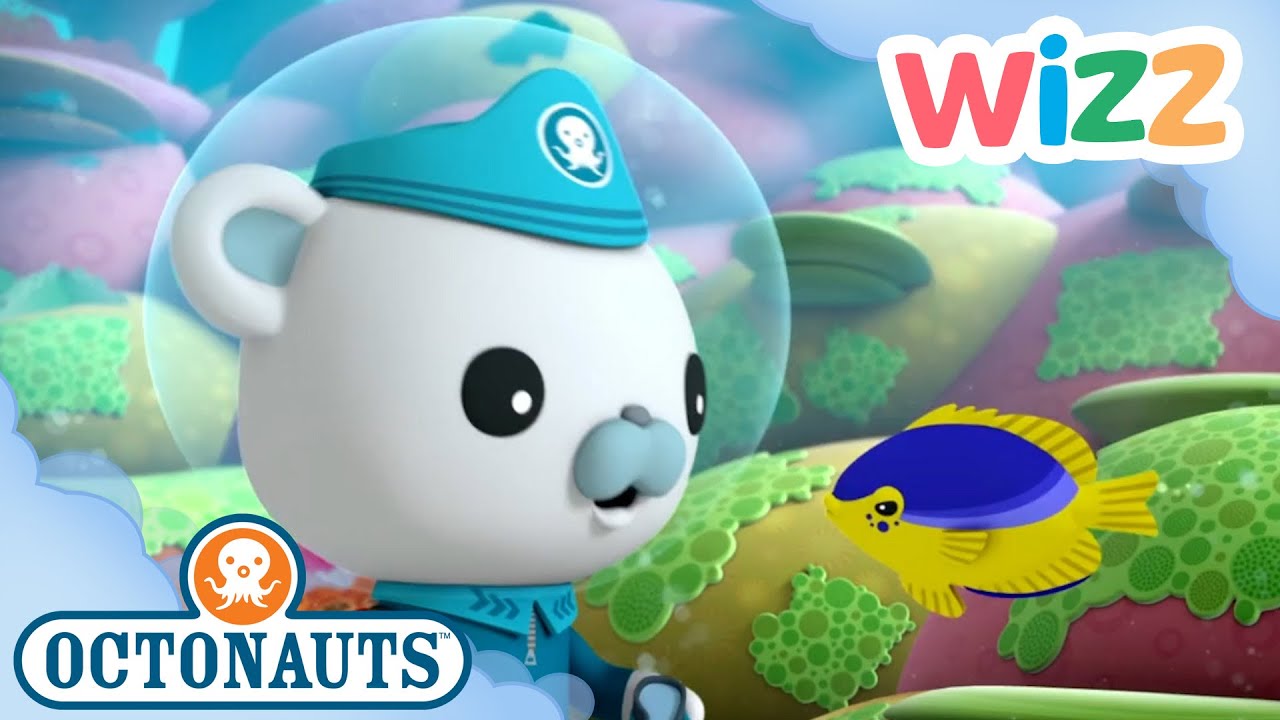 @Octonauts - Bully the Bullies | Full Episode | Cartoons for Kids | @Wizz