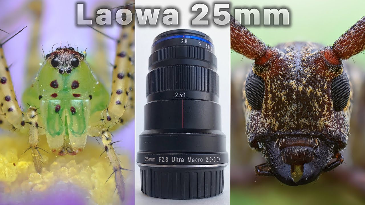 Обзор макрообъектива Laowa 25mm f/2.8 2.5-5X Ultra Macro