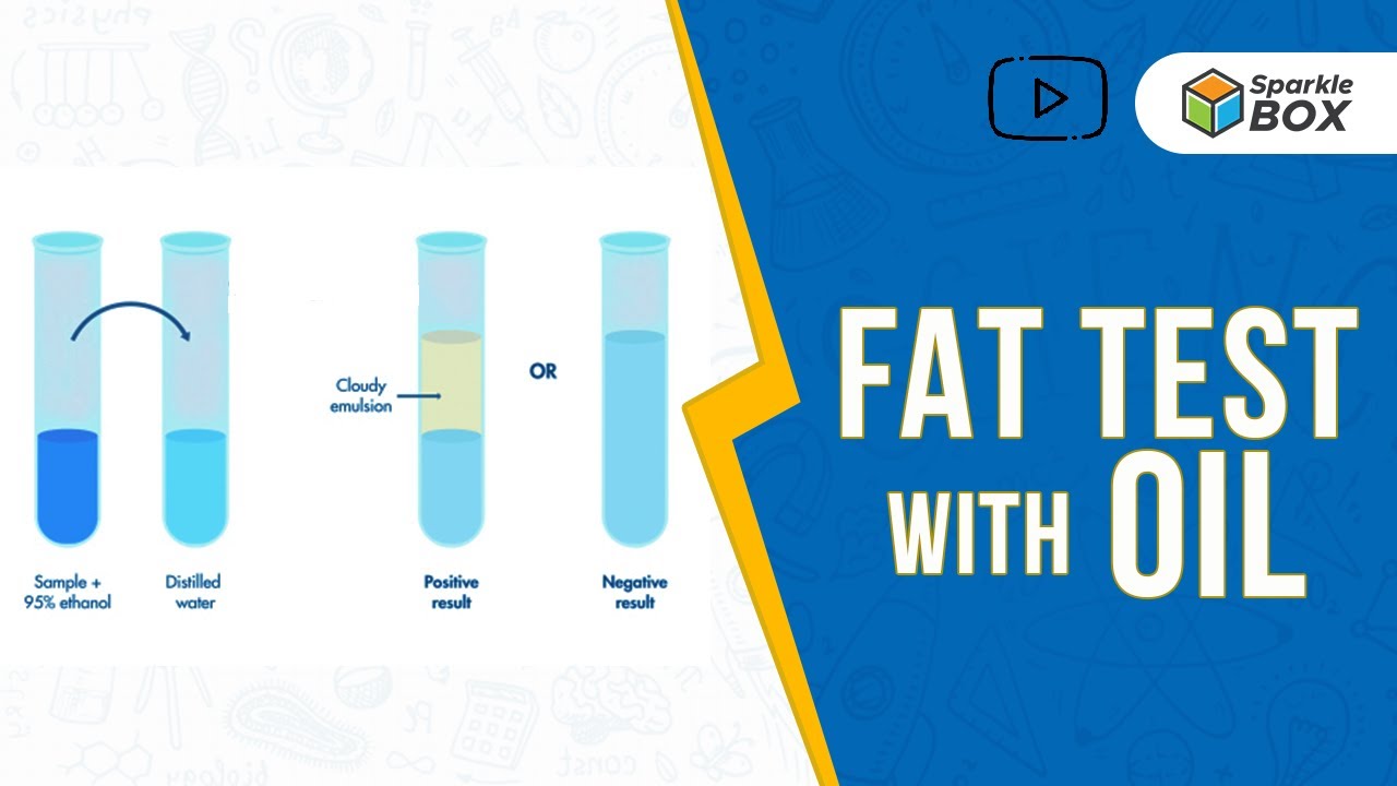 Fat Test With Oil | Grade 5 Science Experiment | Sparklebox