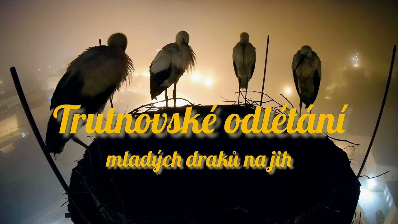 Trutnovské odlétání do Afriky. 🍀🍀🍀🍀 