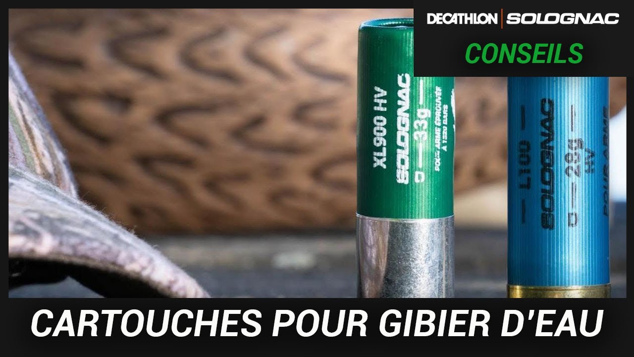 BIEN CHOISIR SES CARTOUCHES POUR LA CHASSE DU GIBIER D'EAU