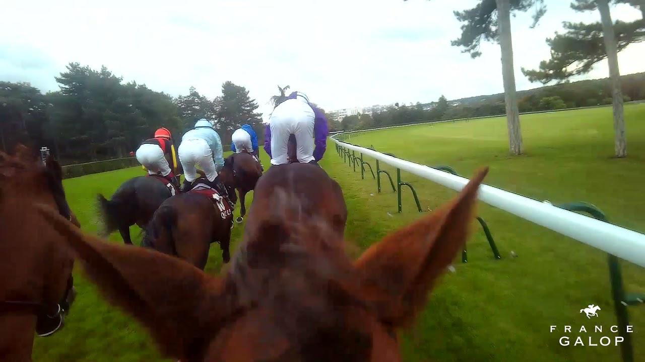 Amazing on-board footage on Tarnawa as she's denied by Torquator Tasso in the Arc!