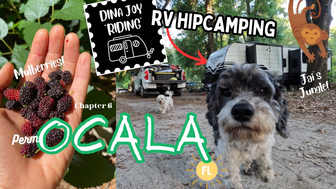 RV CAMPING in OCALA, FL 🌴🍌 PERMACULTURE FOOD FOREST! #rvlife #rvliving #fulltimerv #permaculture