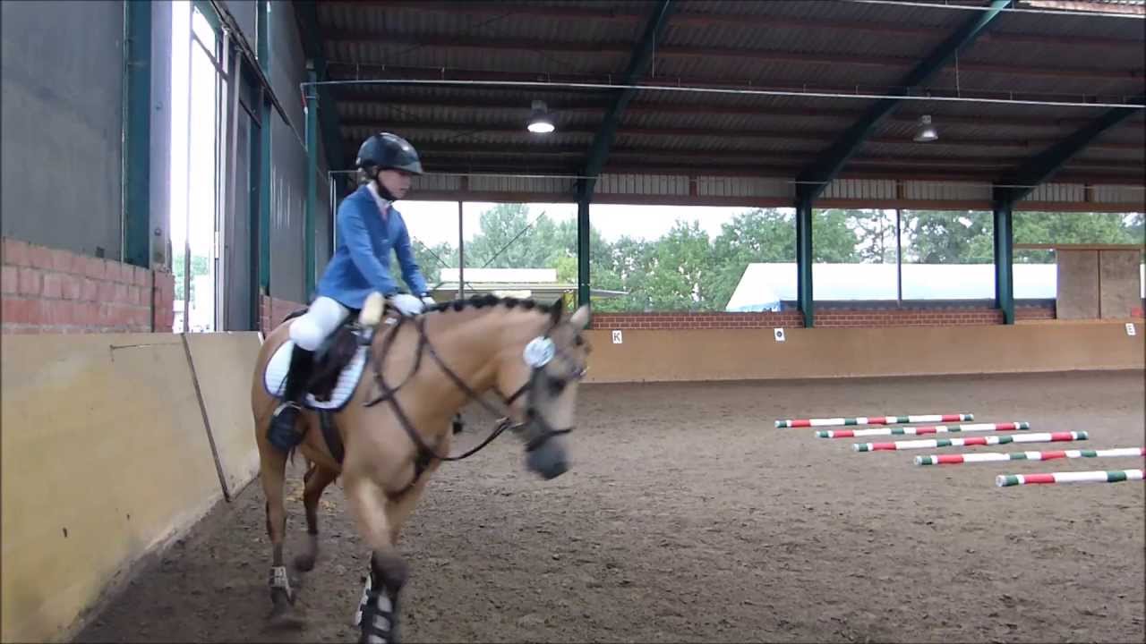 Lia & Alfi - Caprilli und Springreiterwettbwerb Ladbergen