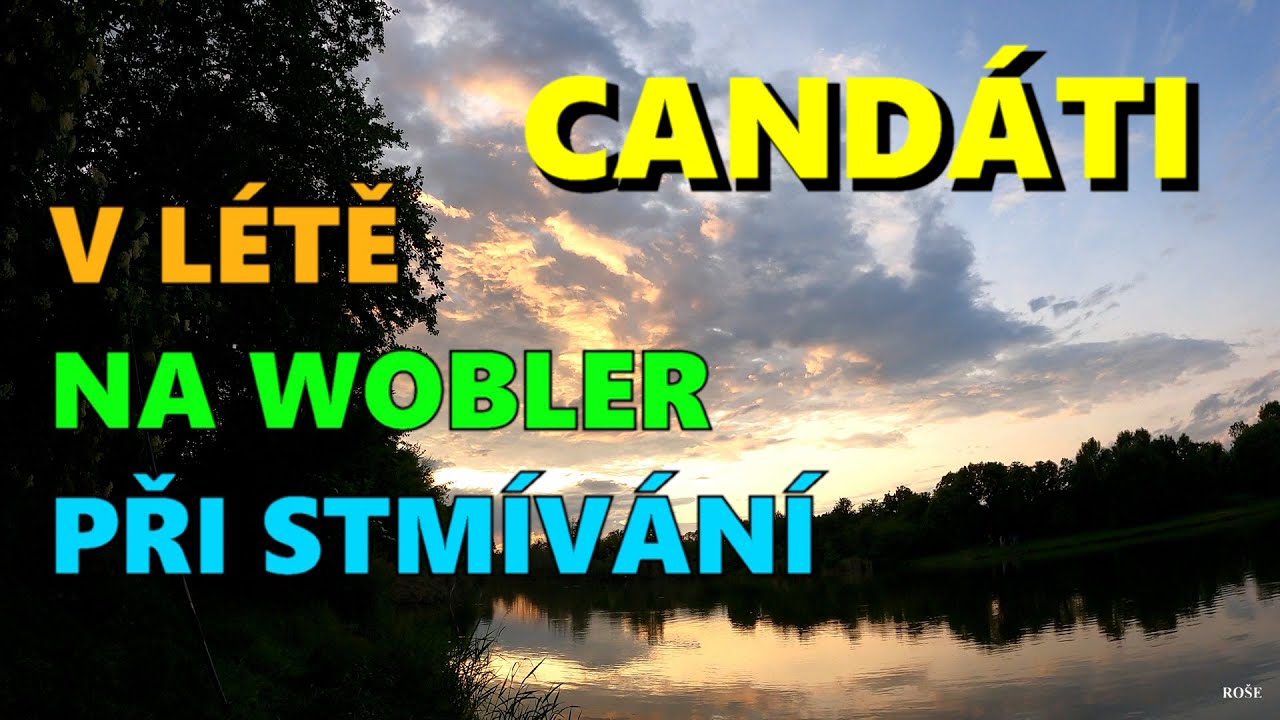CANDÁT -  V LÉTĚ JE  ÚČINNÝ WOBLER