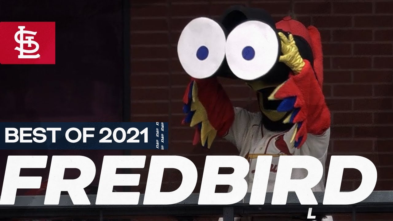 Best of 2021: Fredbird | St. Louis Cardinals