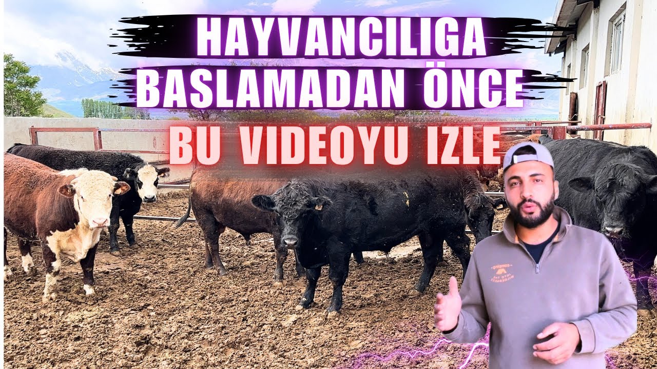 HAYVANCILIĞA BAŞLAYACAKLARA GERÇEK TAVSİYELER / BU HATALARI YAPMAYIN!