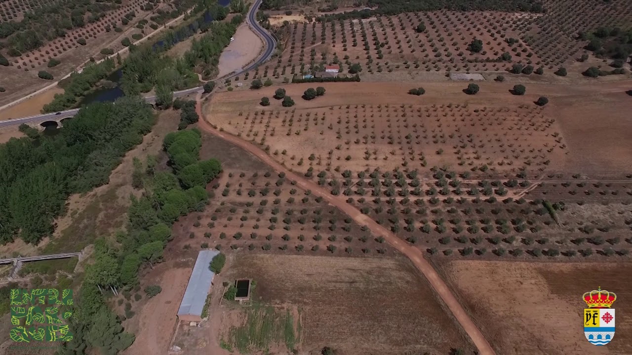 LUCIANA (Ciudad Real)