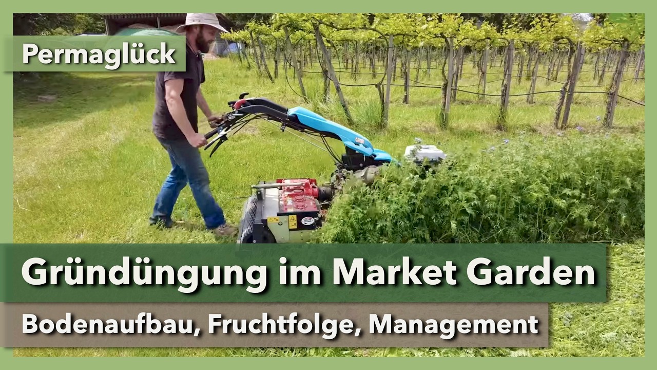 Gründüngung & Beetvorbereitung in der Marktgärtnerei | Permaglück | 2024 | Teil 4