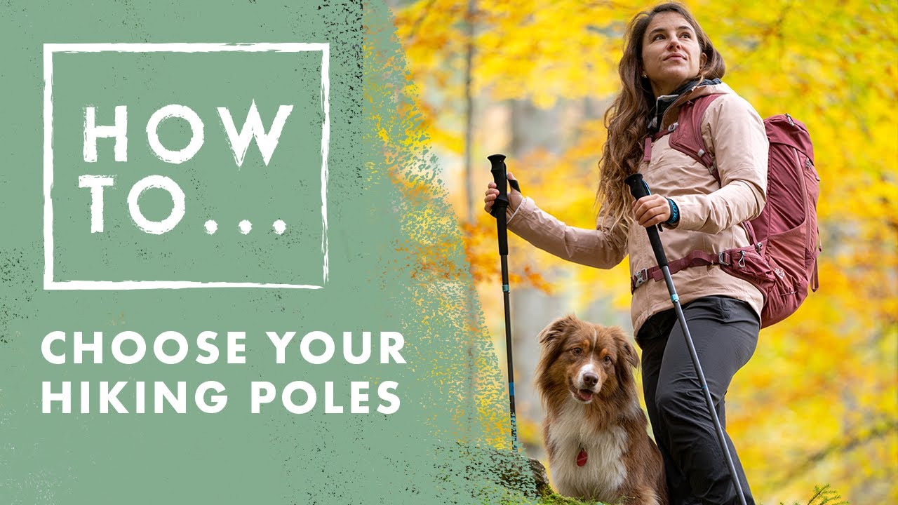 How to choose hiking poles | Salomon How to