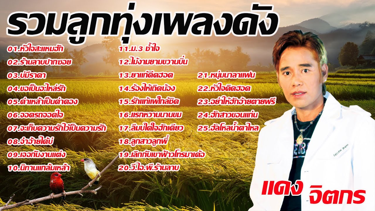 รวมเพลงลูกทุ่งเพราะ แดง จิตกร
