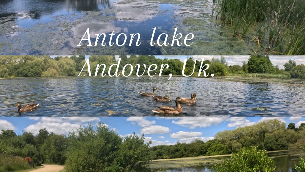 Anton lake, Andover Uk.