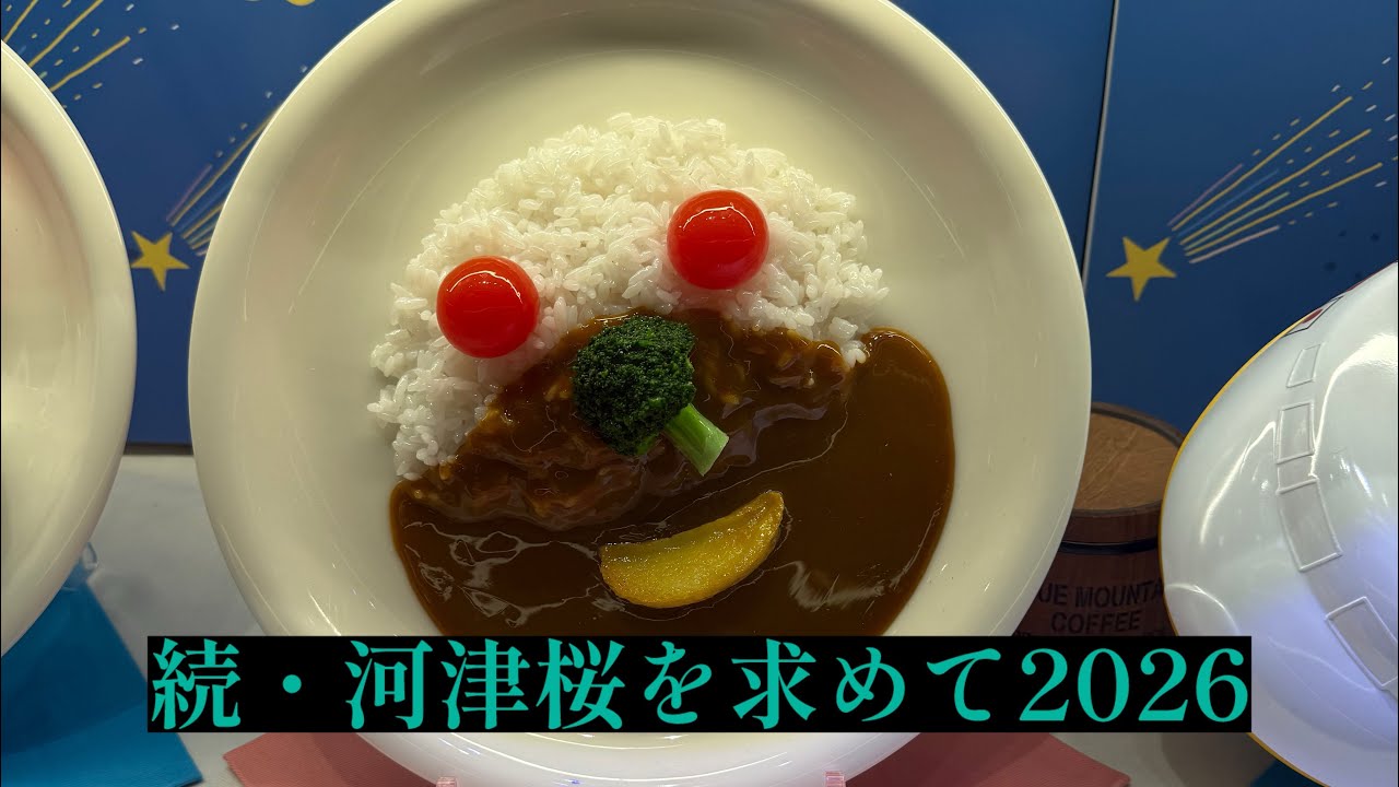 河津桜を求めて2026 （続編）