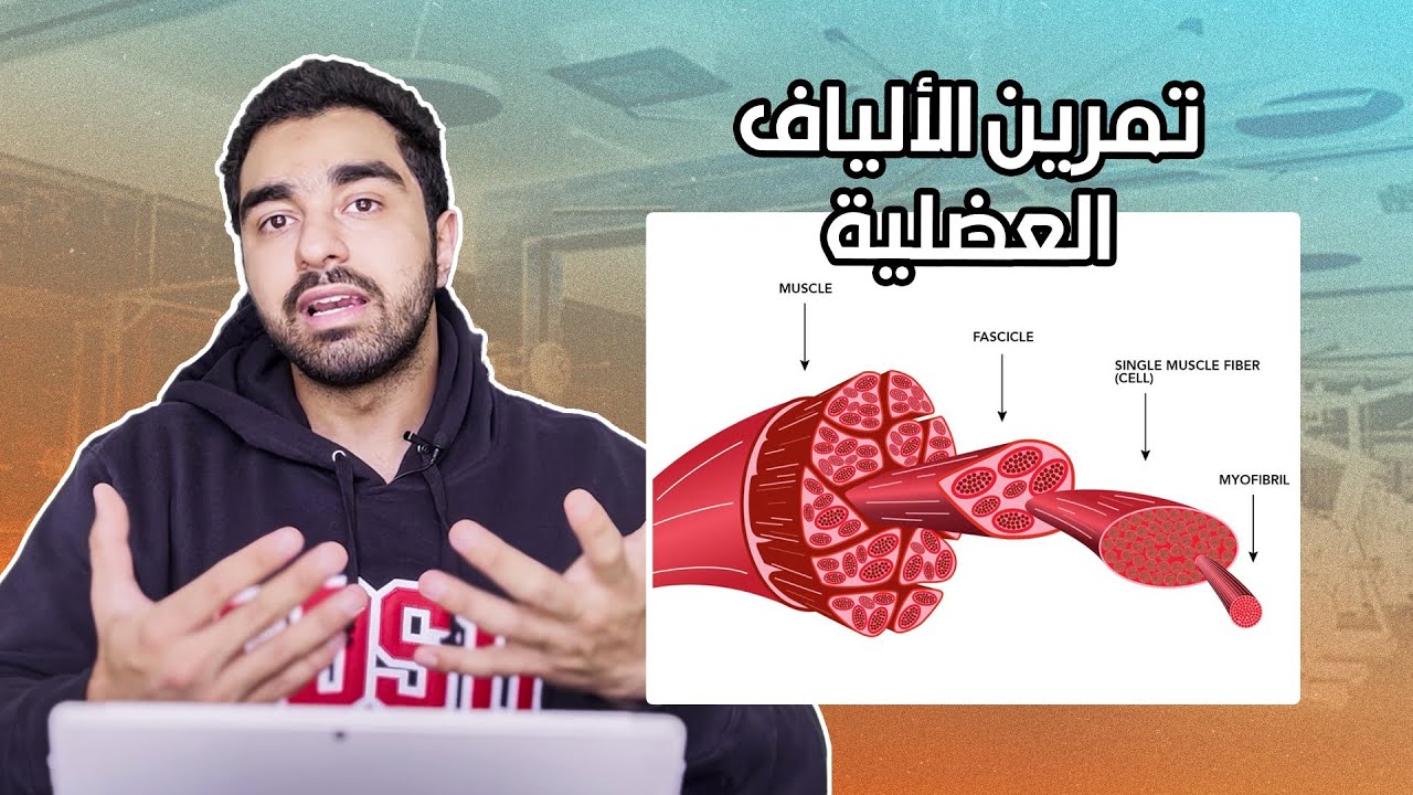مهم نتمرن حسب نوعية الألياف العضلية؟