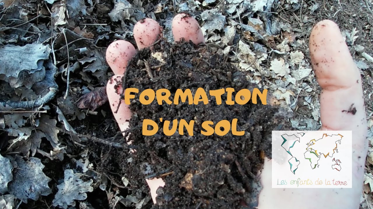 LE SOL et sa fertilité (cours partie 1 : la formation d'un sol)
