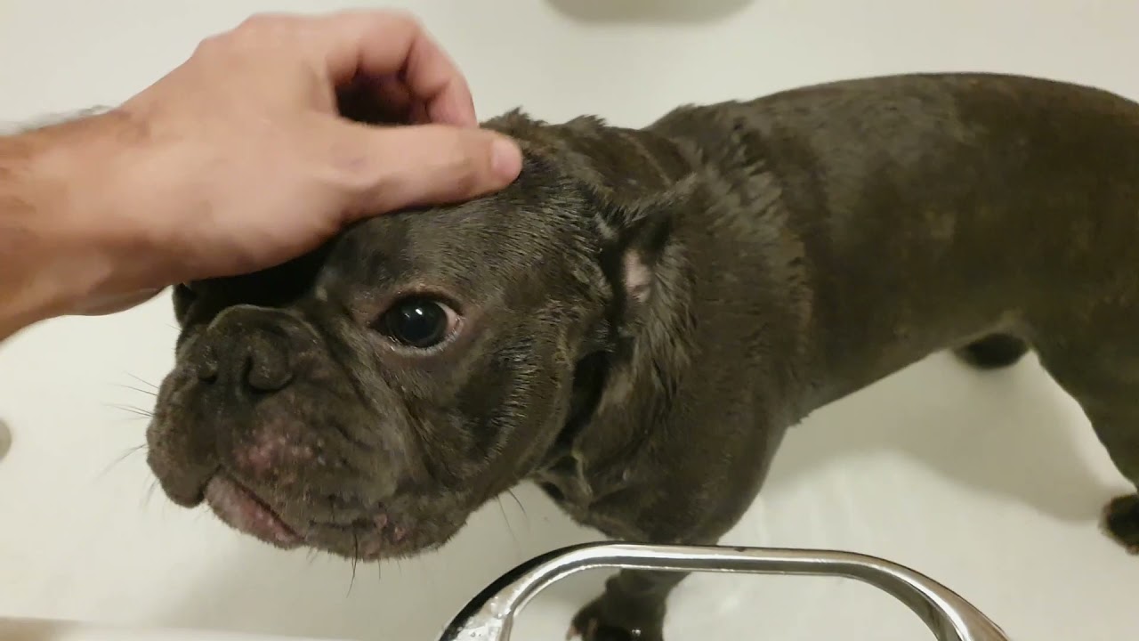 How MAD at me Is He?