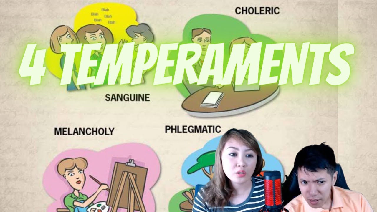4 TEMPERAMENT PERSONALITY by Markcesz