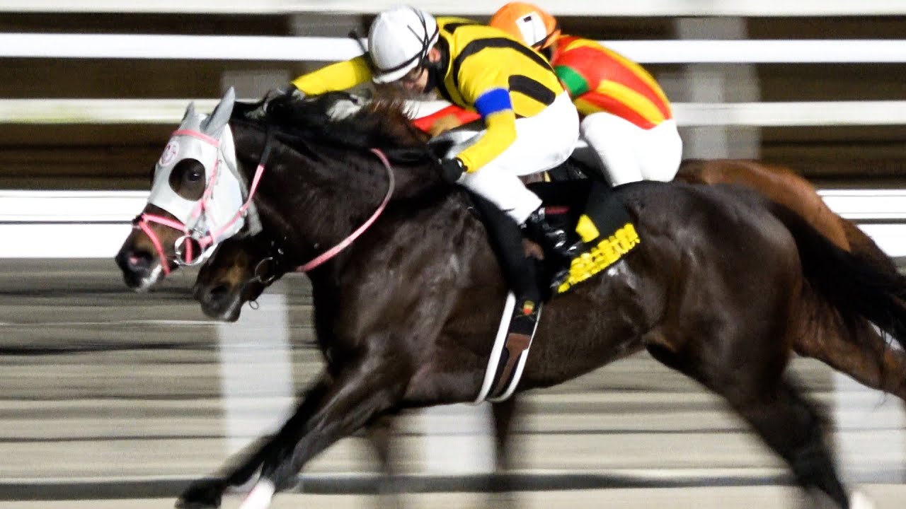 【名古屋大賞典2025】アピーリングルックがレコードで交流重賞を初勝利‼ ウイニングラン 現地映像