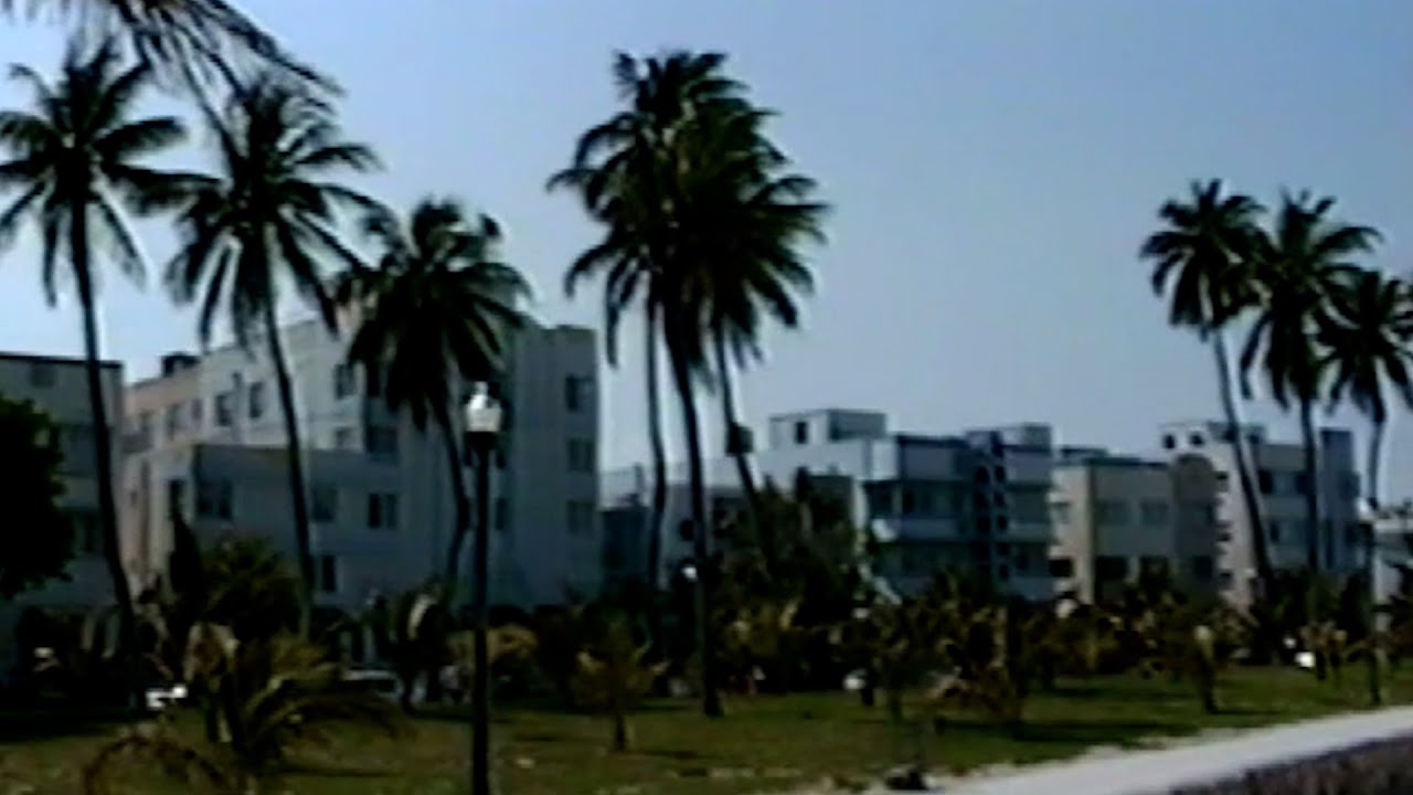 Air Miami - Seabird (Official Video)