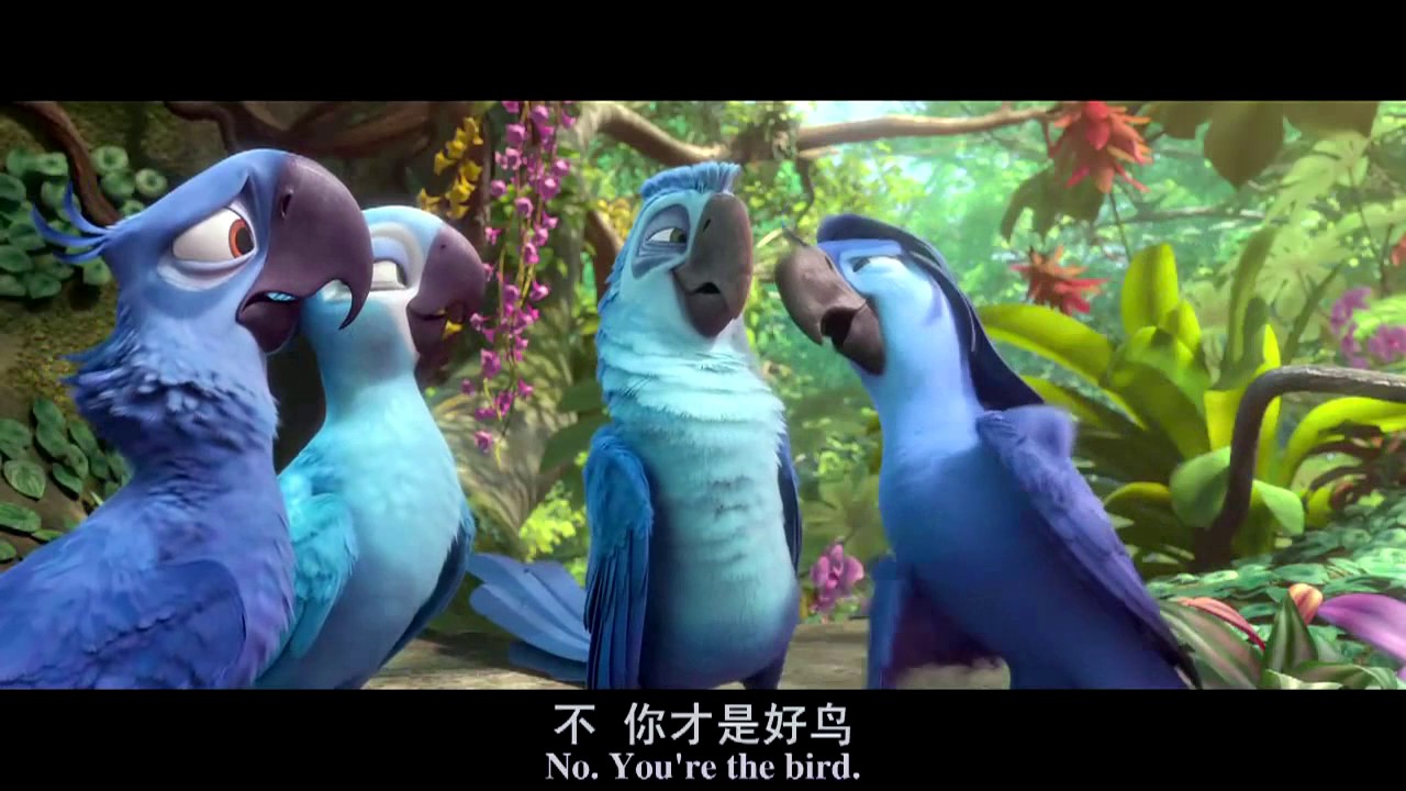 Ytpmv Rio 2 Can Can