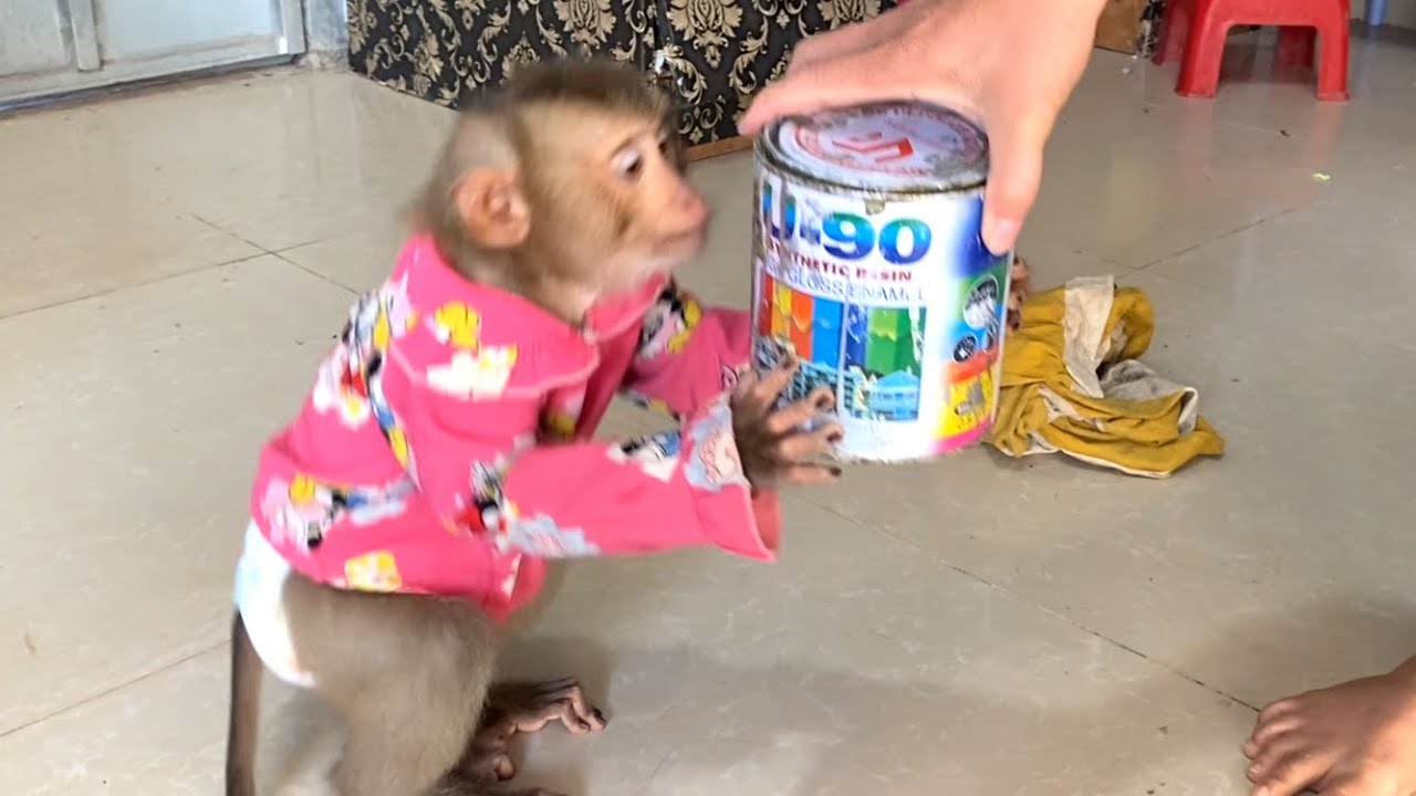 Amazing!! Smart girl LIORA helps carry cans of house paint for her mom