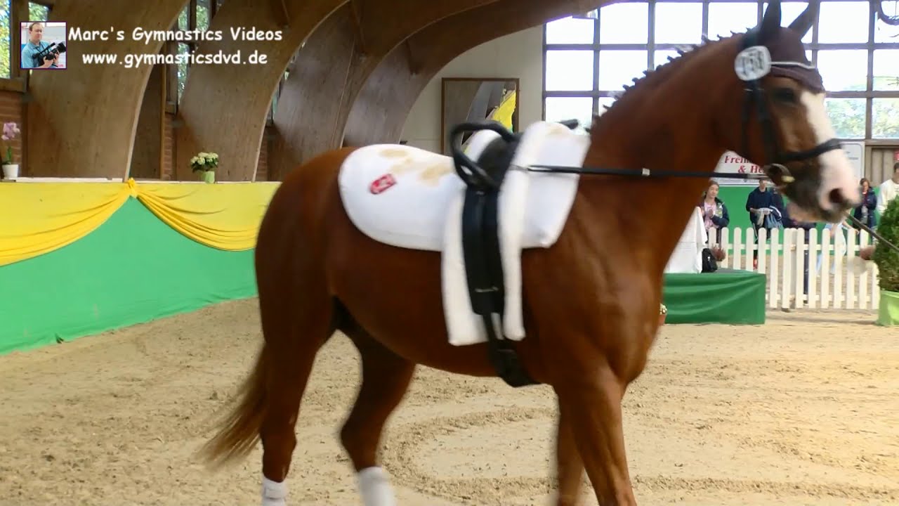Paula Waskowiak (WEF) - Damen 03 - DJM Krumke 2019