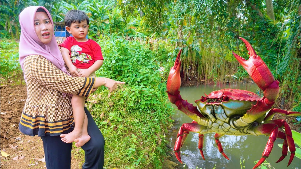MUNCUL KEPITING RAKSASA DI KALI 😱 DEKAT RUMAH KU 