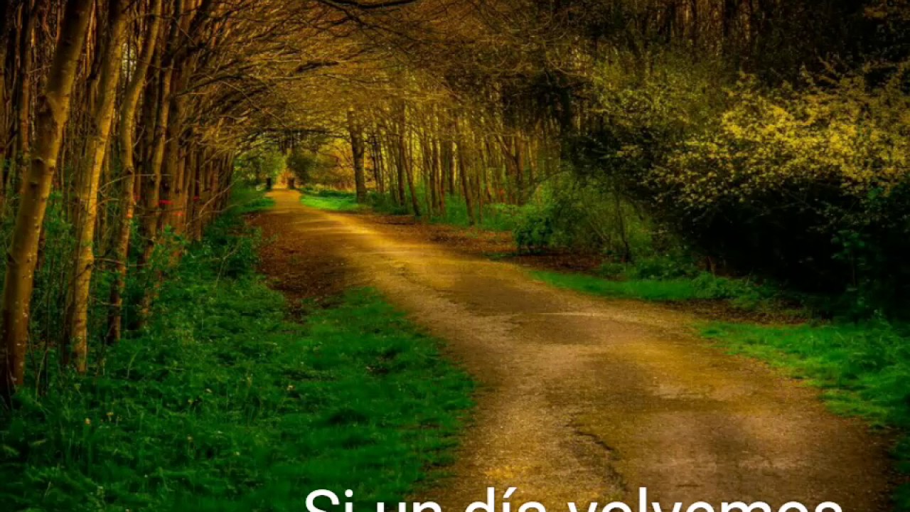 Si un día volvemos