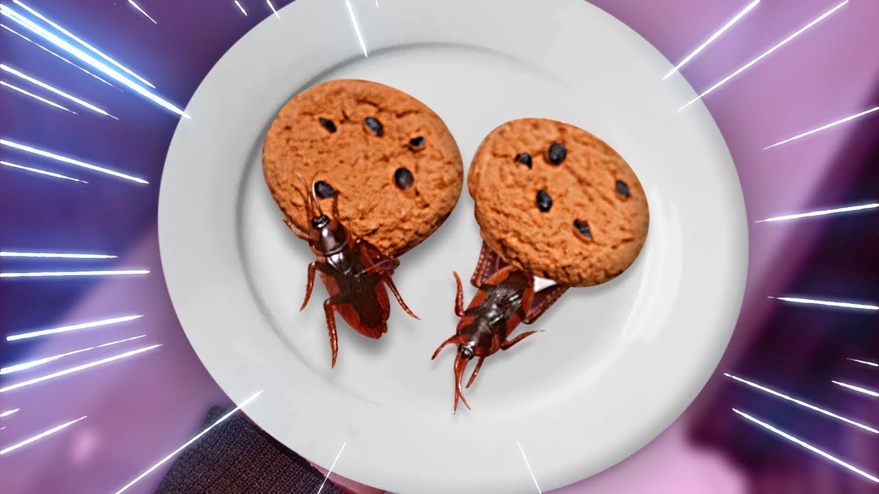 🍪 TROLLAGEM DO BISCOITO FALSO !! ‹ AUTHENTIC ›