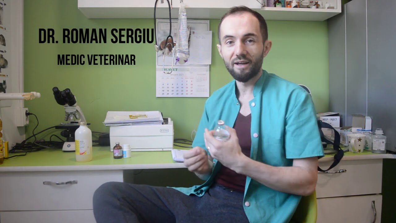 IEPURI | ‼️ Top 4 Produse Care Ne Salvează IEPURII 🚨