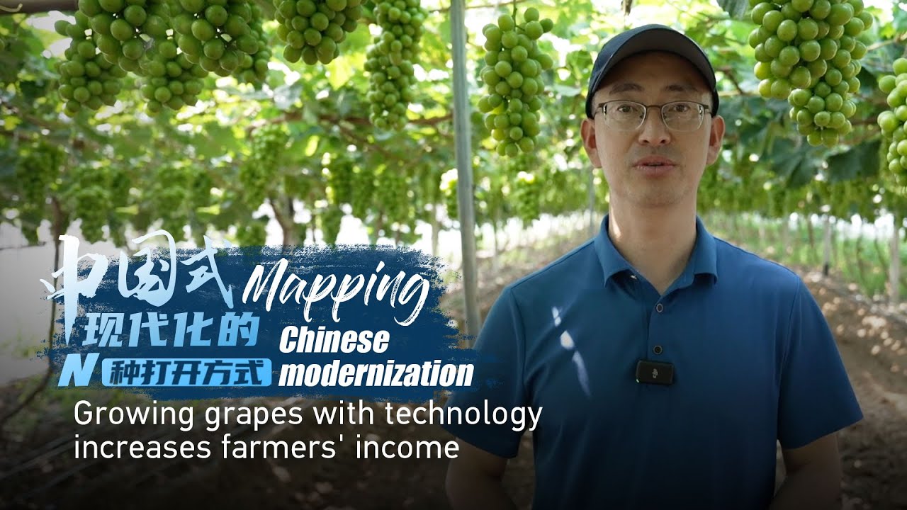 Mapping Chinese modernization: Growing grapes with technology increases farmers' income