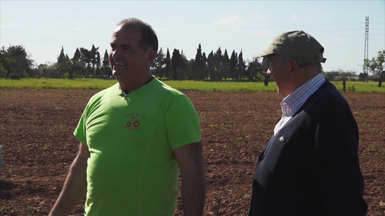 UEP! COM ANAM? [449]- FEINES D’HORT, PLANTAREM GARROVERS I CUINAREM FRIT DE PASTANAGA MARIANDO