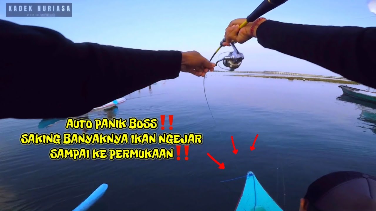 Asli semua pada PANIK‼️Baru sampai spot langsung strike‼️