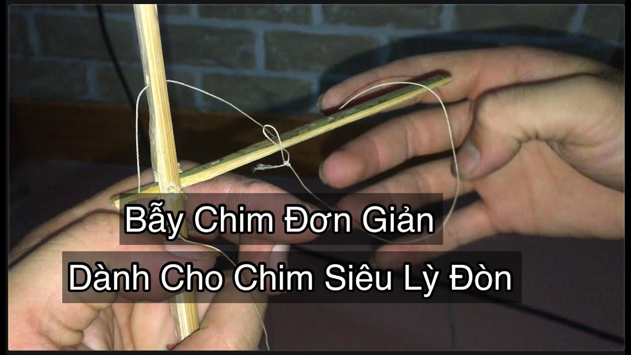 Chia Sẻ Làm Bẫy Chim Cực Đơn Giản #42/Trap Bird/Du Cửa Khâu TV