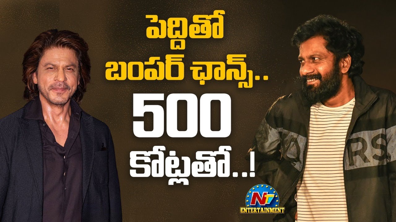 పెద్ది తో బంపర్ ఛాన్స్.. 500 కోట్లతో..! | Buchi Babu Sana | Shah Rukh Khan | NTV ENT