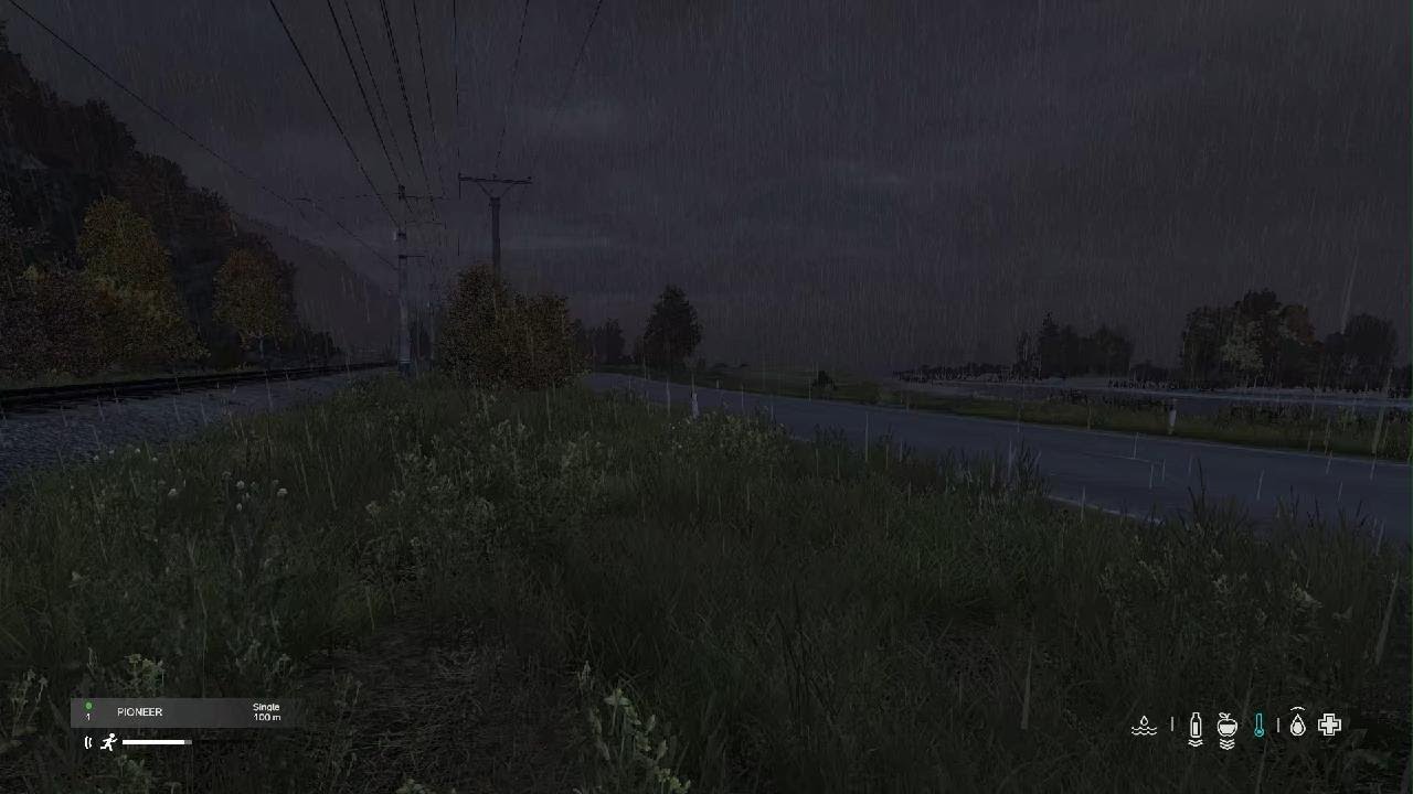 DayZ