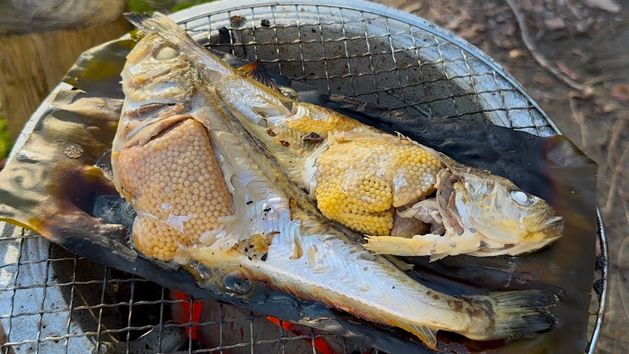 ぶりこパンパンなハタハタの昆布焼きが美味である！