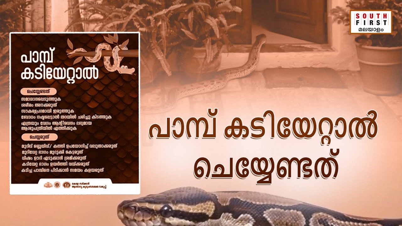 Kerala Health Department&rsquo;s new video on snakebite safety