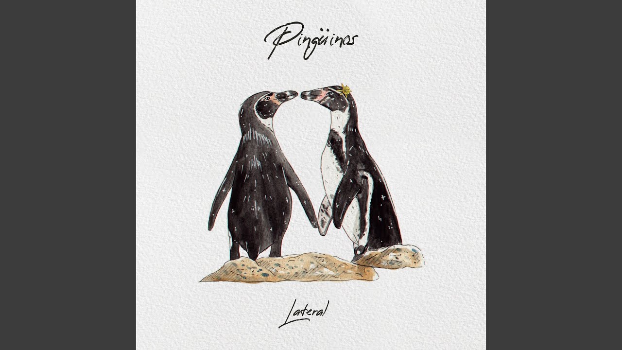 Pingüinos