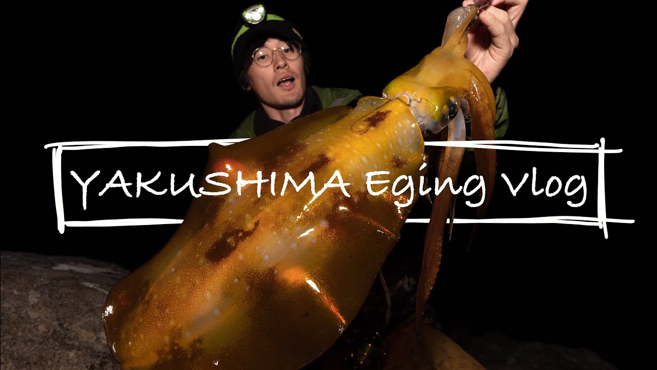 YAKUSHIMA  Eging Vlog cinematic【釣りvlog】 yamasty