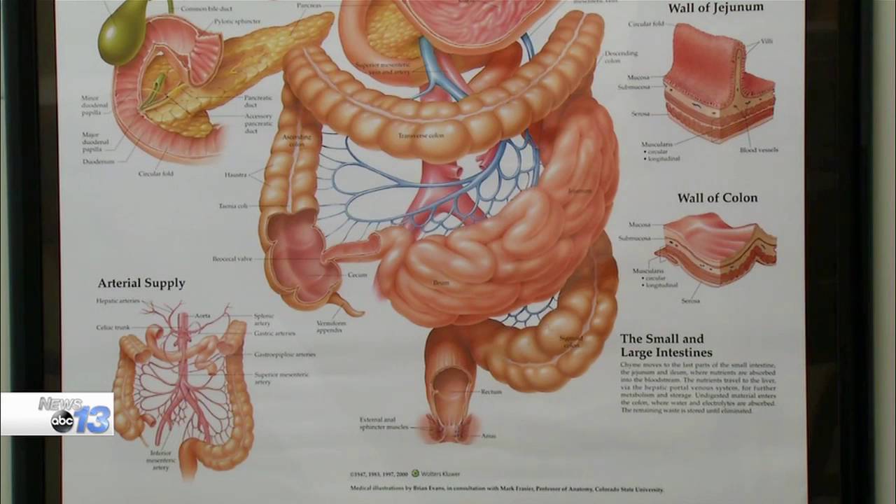 Dr. Gentry Caton Discusses the Consequences of Delaying a Colonoscopy with Local TV Station