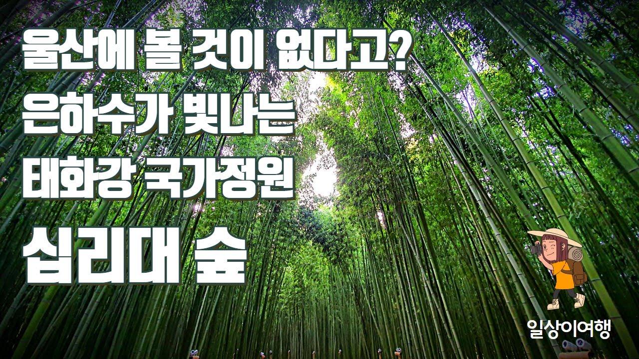 울산여행 여긴 꼭 가봐야 해! 은하수로 둘러 쌓인 태화강 국가정원 십리대 숲