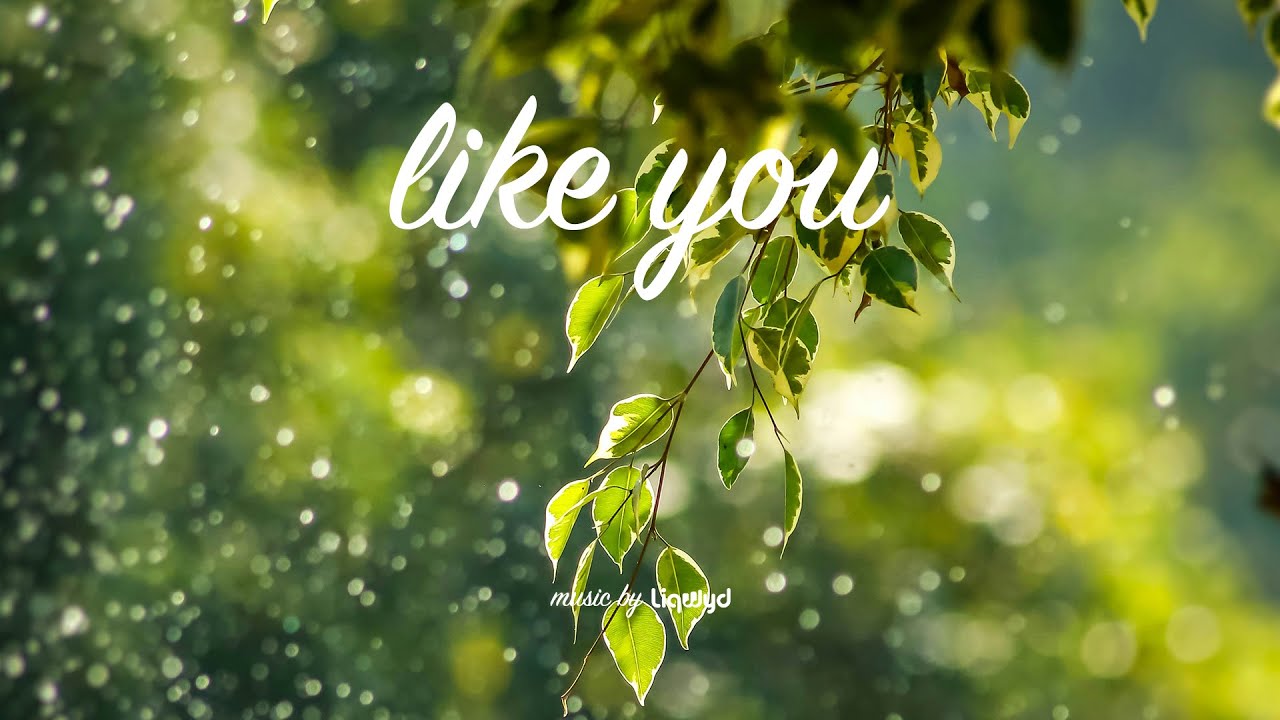 LiQWYD - Like You [Official]