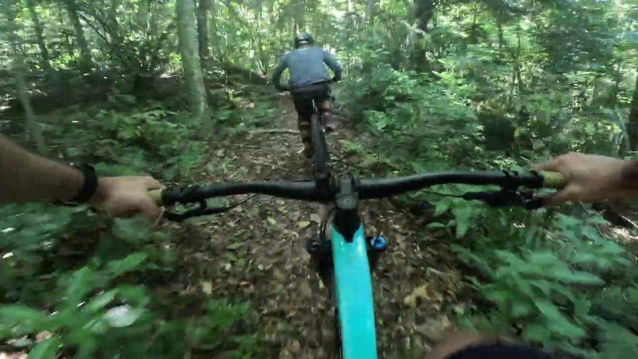Enduro Mountain Bike na trlha do Bosque