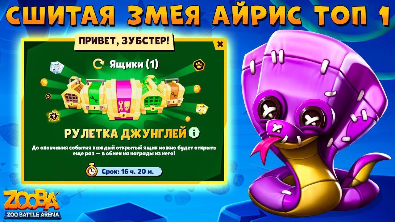 ЗМЕЯ АЙРИС 3 ТОП 1 ПОДРЯД!!! СБРОС АКЦИЯ В ИГРЕ ZOOBA