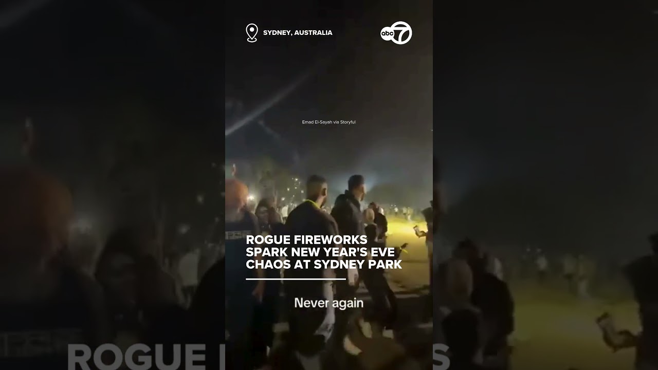 Rogue fireworks spark New Year's Eve chaos at Sydney park