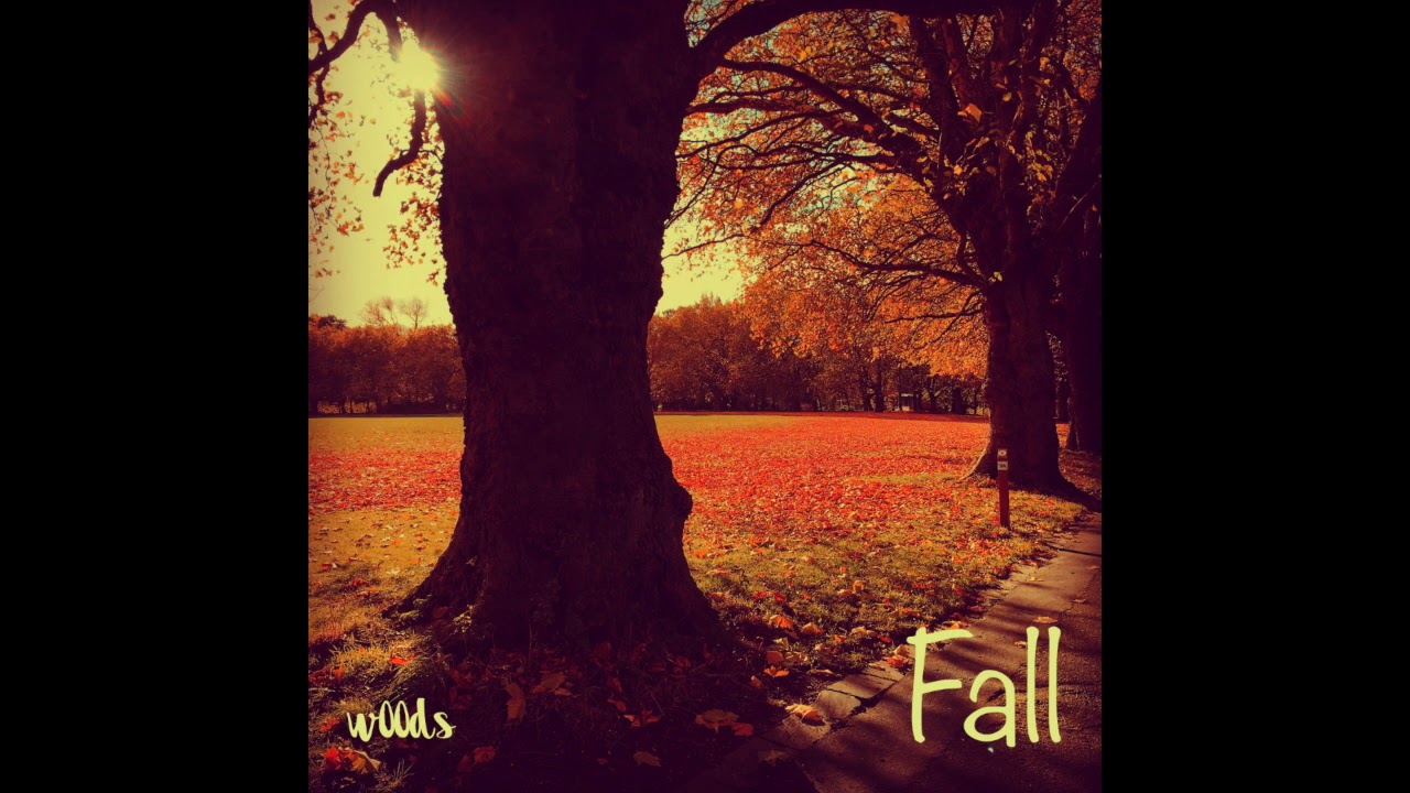 w00ds - Fall EP