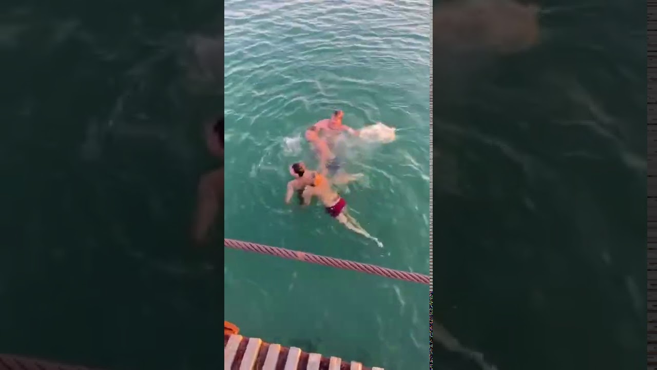 В АНАПЕ ИНВАЛИД-КОЛЯСОЧНИК СПРЫГНУЛ В МОРЕ С ПИРСА И ПОМОГ СПАСТИ УТОПАЮЩЕГО!