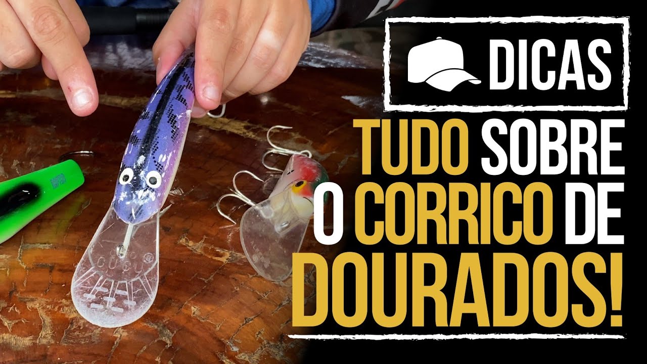 TUDO SOBRE O CORRICO DE DOURADOS! (DICA)